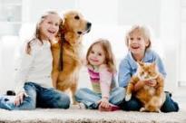 About Us: Kid and pet friendly carpet cleaning in Palm Beach, Florida.