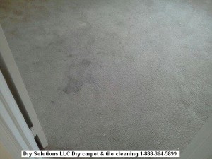 dirty carpet 01